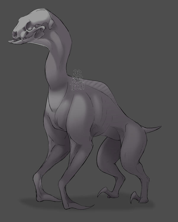 Badger_Skull_Chicken_Wing