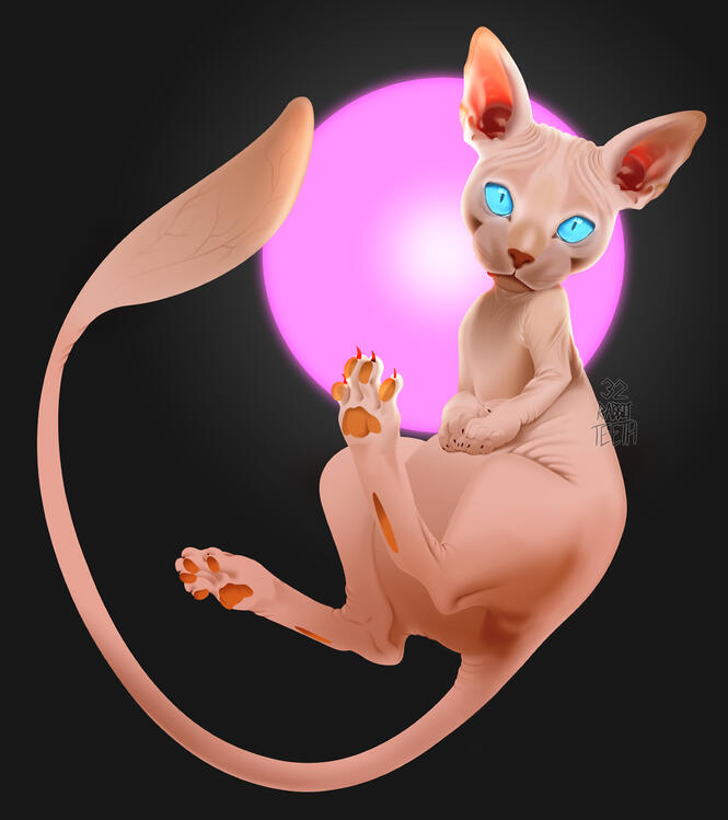 Mew_Concept